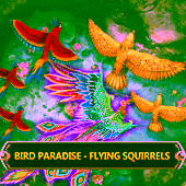 Bird Paradise