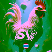 Cock Fight TH