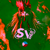 Cock Fight PHI